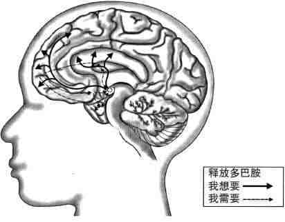 安徽得潤(rùn)電氣 成套高低壓開(kāi)關(guān)柜 廠家 報(bào)價(jià) 電話：400-0551-777 qq：3176885416